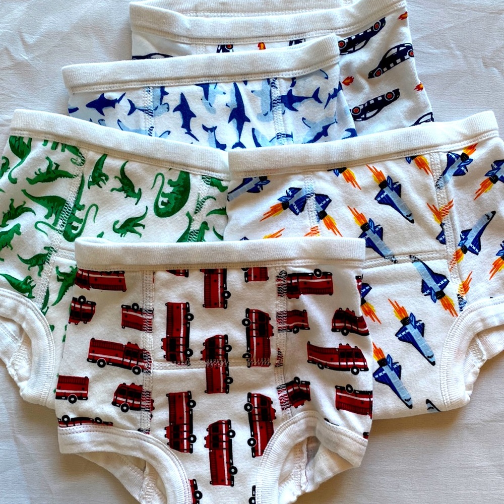 Lot of 5 Hanna training pants